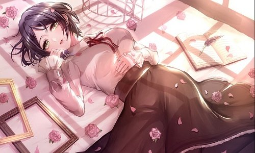 冷狐汉化组安卓游戏合集