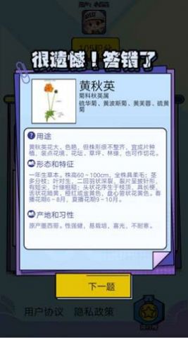 爱上鲜花赚钱版图3
