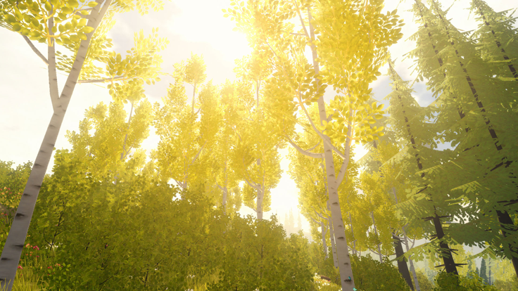 wilderless荒野图5