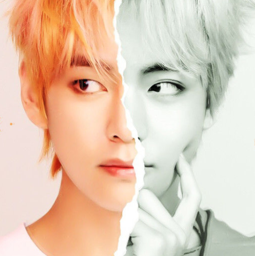 我对男神粉转黑完整版