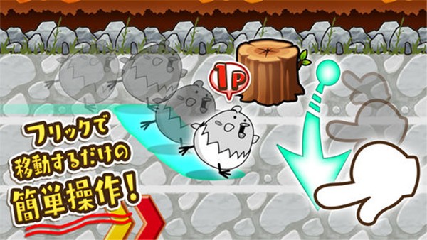 飞吧小鸡赛跑图4